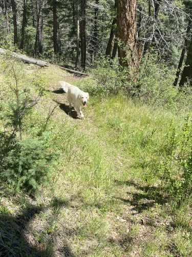 Photo Courtesy of Tammy Esposito, alltrails.com (2022)