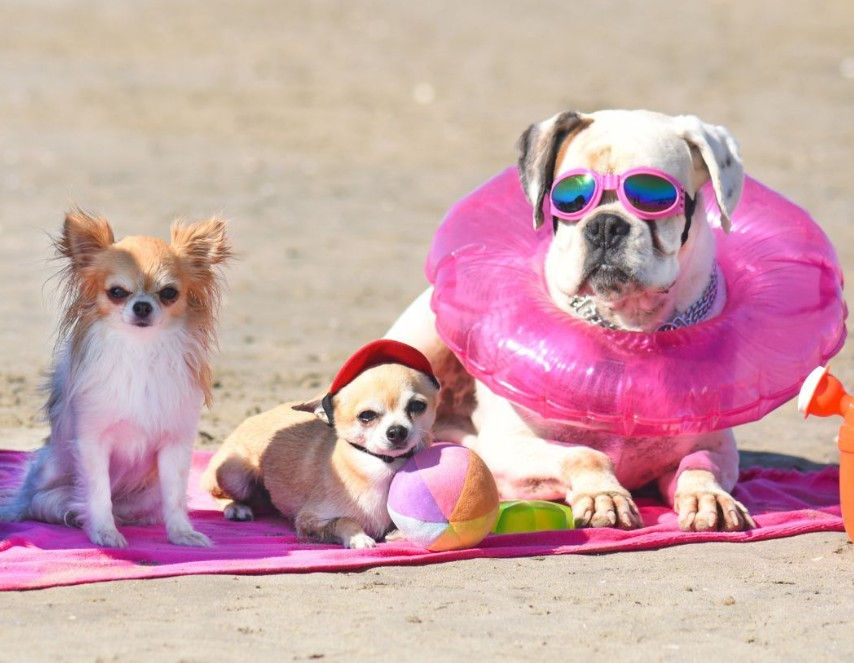 Photo Courtesy of @thomasbeachvacations, Instagram (April 19, 2023)