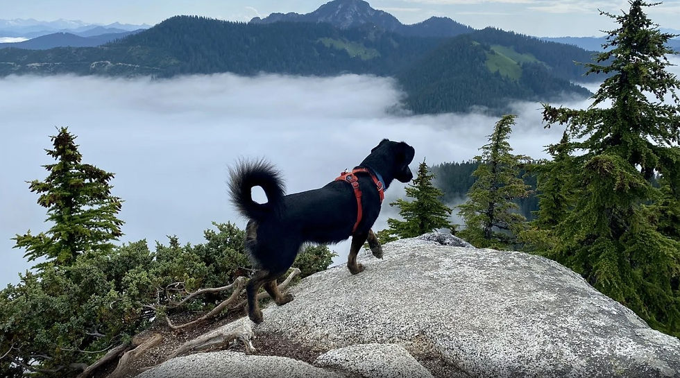 Photo courtesy of Steve Dean, AllTrails.com (2023)