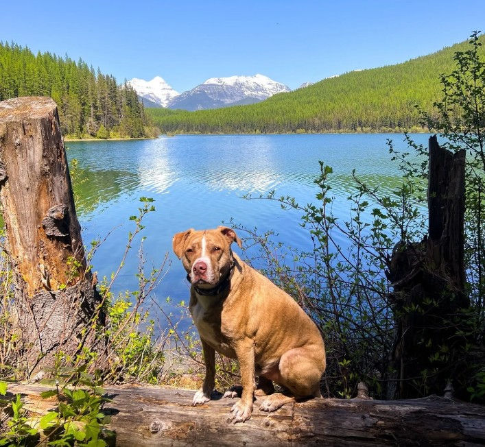 Photo courtesy of Bailey Murray, AllTrails (May 25, 2025)