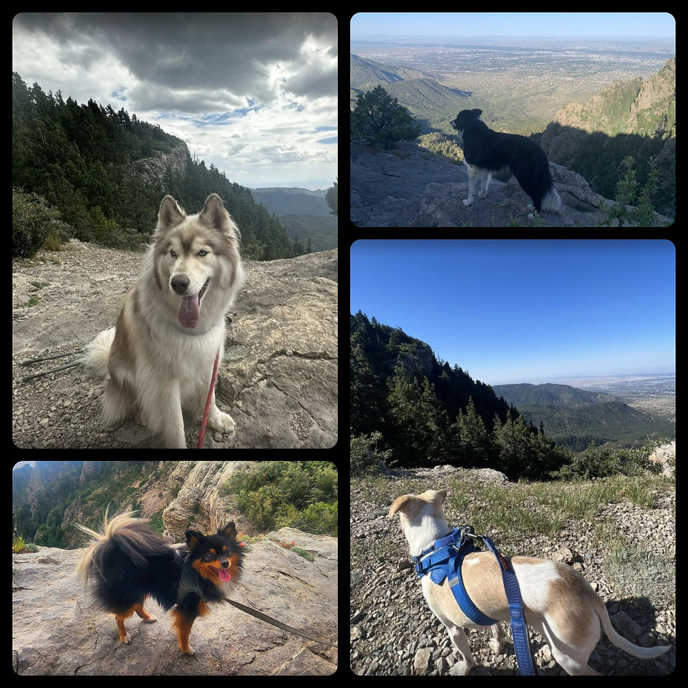 Photos by Alltrails.com