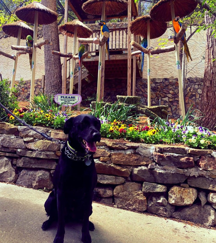 Photo courtesy of Candace, BringFido (May 5, 2022)