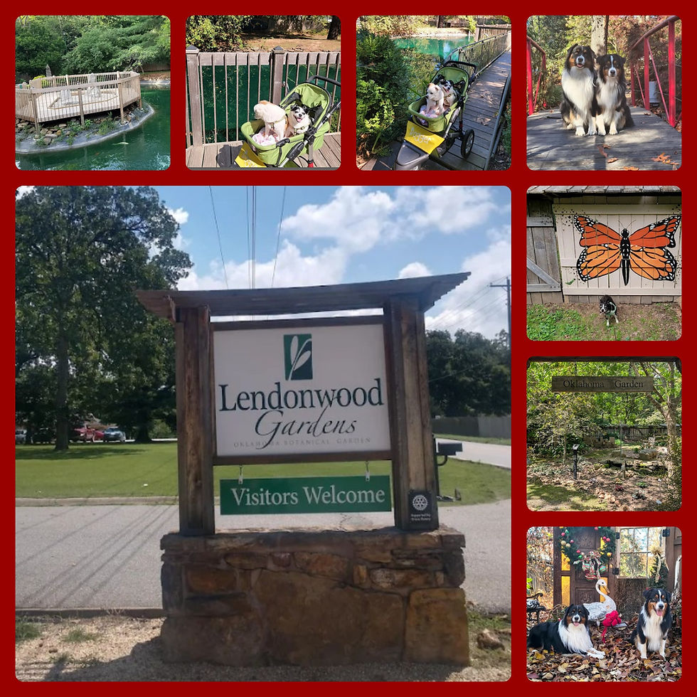 Photos by Google Reviews