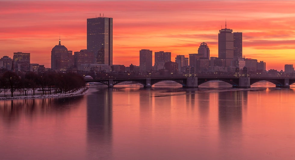 Barking Memories in Boston, Massachusetts