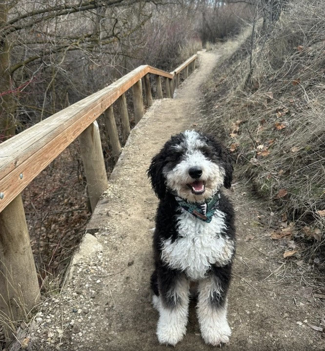 Photo courtesy of Erin Bailey, AllTrails (February 2, 2025)