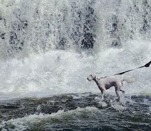 Photo courtesy of Keith Klubertanz, Google Reviews (July 2020)