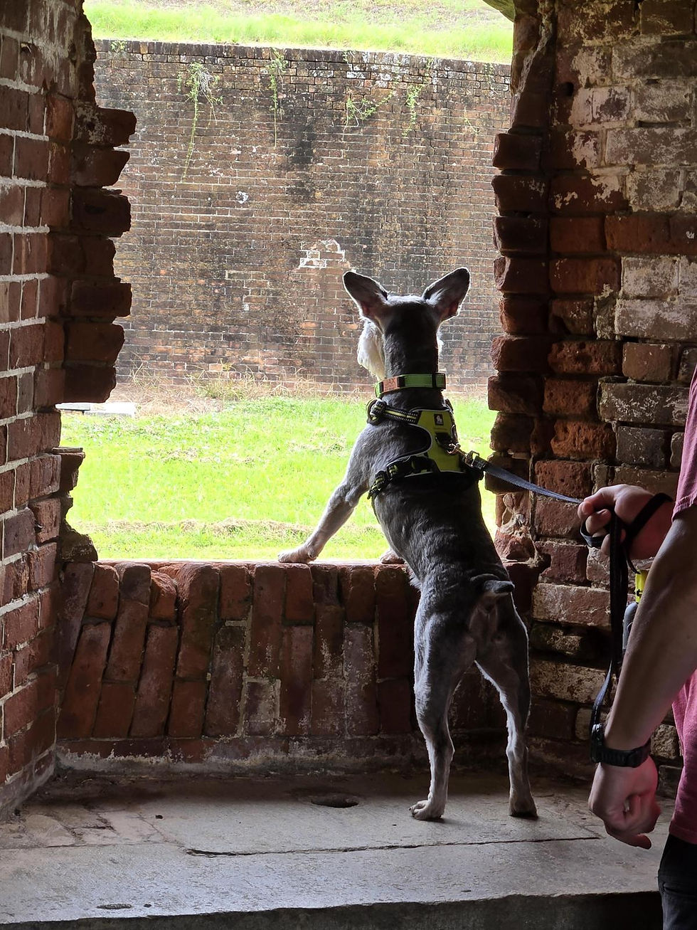 Photo Courtesy of Janet, BringFido.com (September 26, 2024)