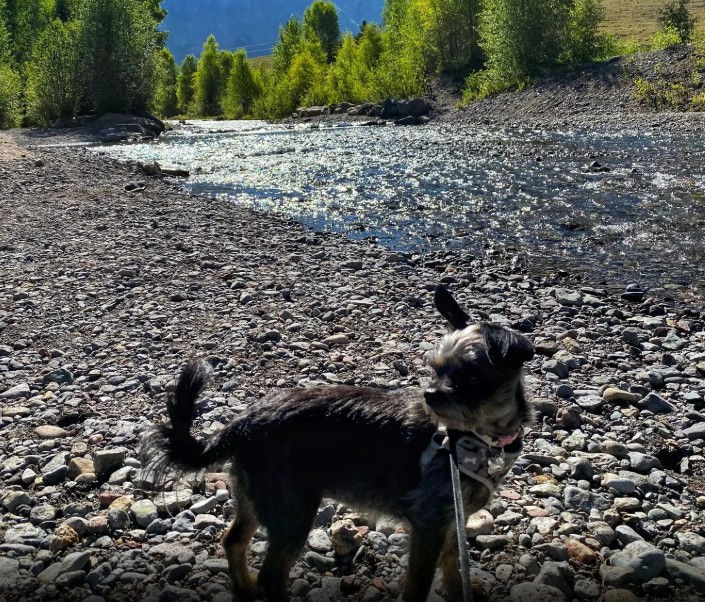 Photo courtesy of Sammy Moody, AllTrails (July 30, 2020)