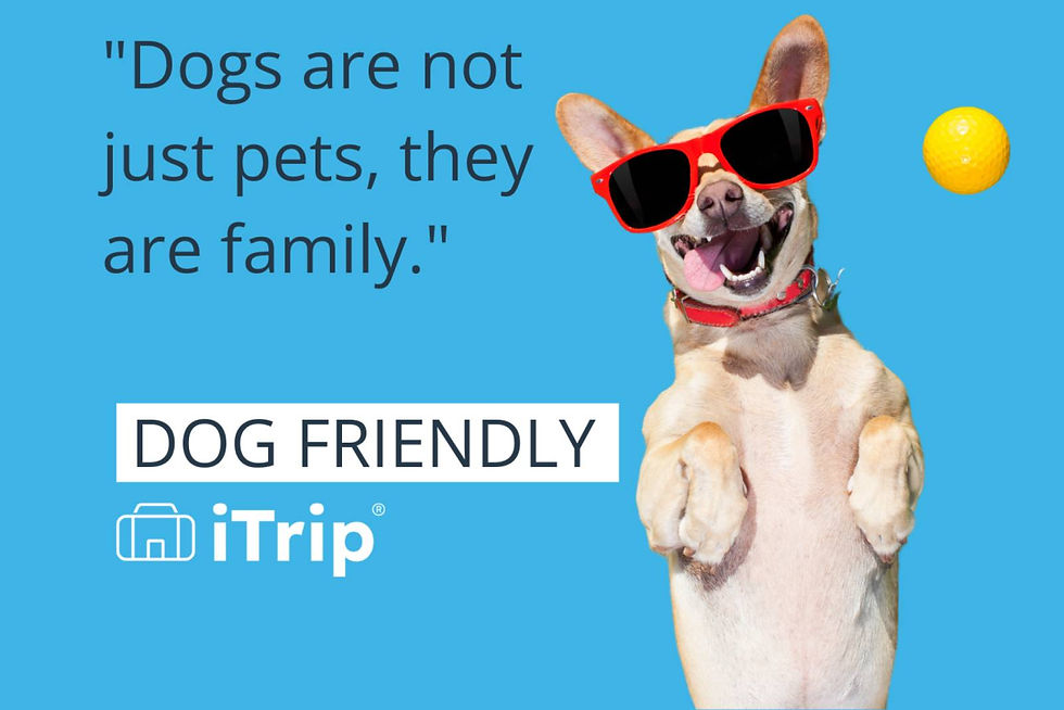 Photo Courtesy of iTrip