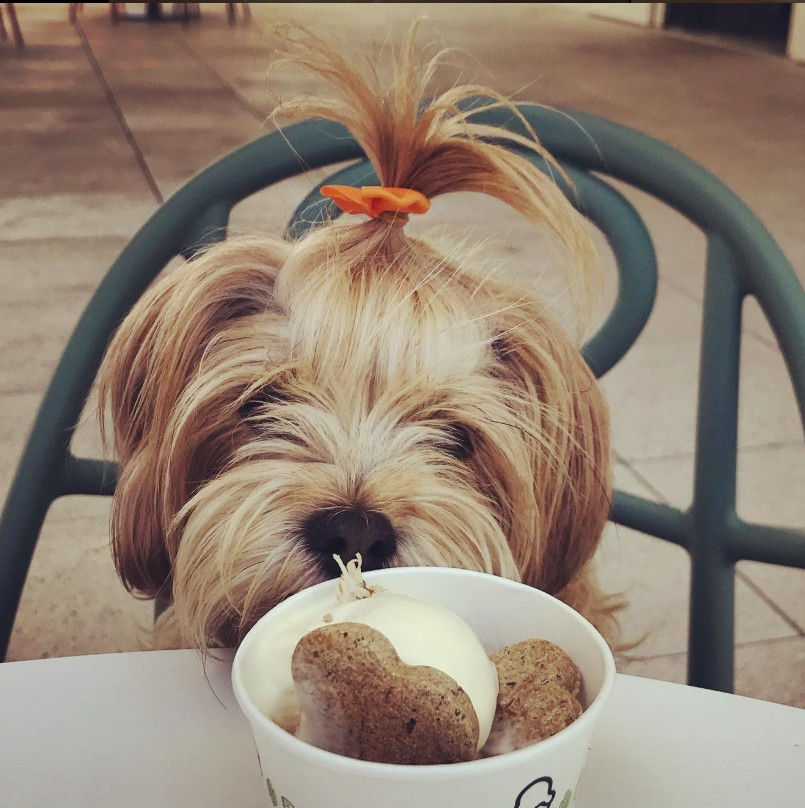 Photo by instagram.com