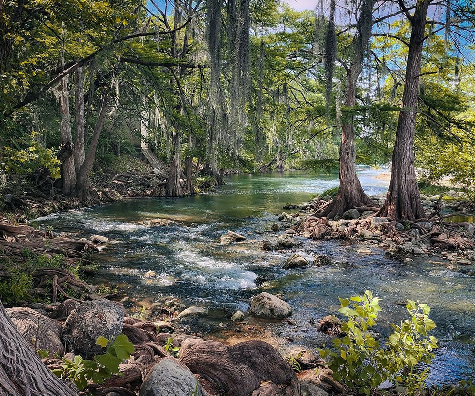 A Dog-Friendly Travel Getaway in the Guadalupe River Cities of Texas