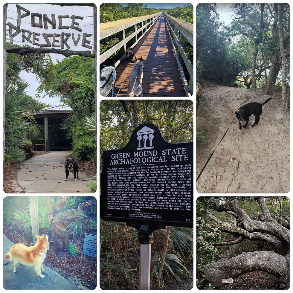 Photos by Instagram.com and AllTrails.com