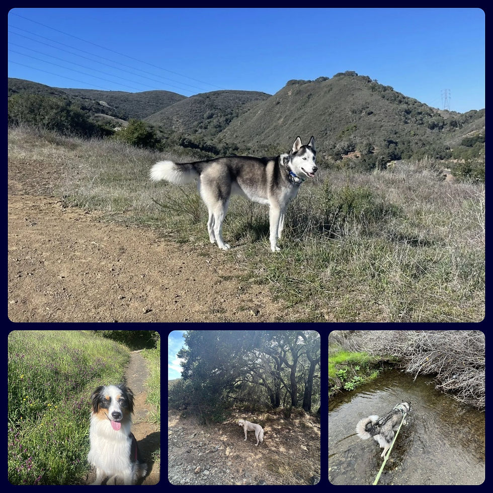 Photos by AllTrails.com