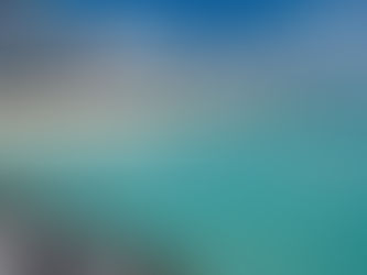 Memorable Barking Fun in Miami Beach, Florida