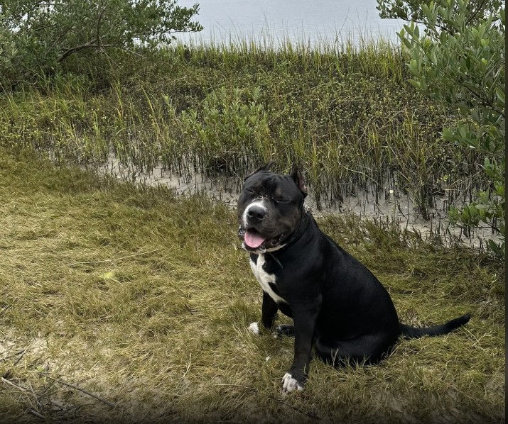 Photo courtesy of Travis Van Allan, AllTrails (December 28, 2023)