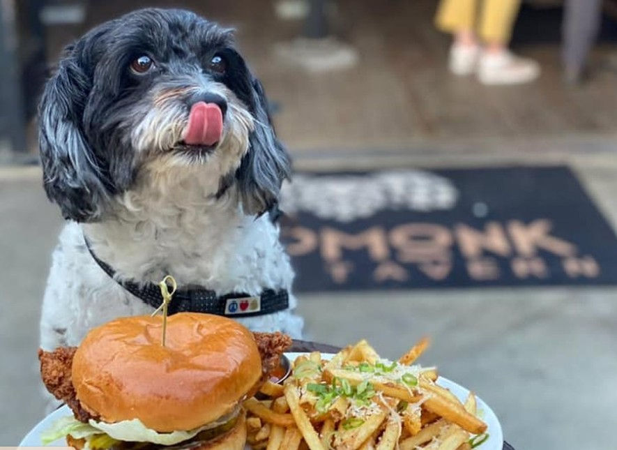 Photo by BringFido.com