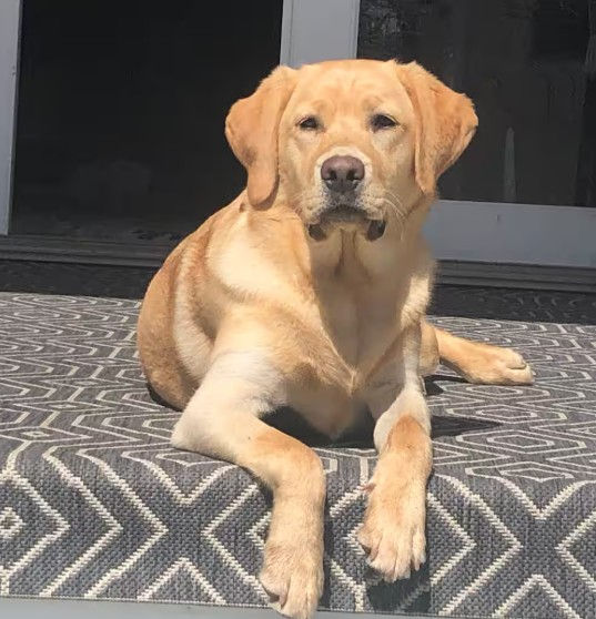 Photo Courtesy of Airbnb