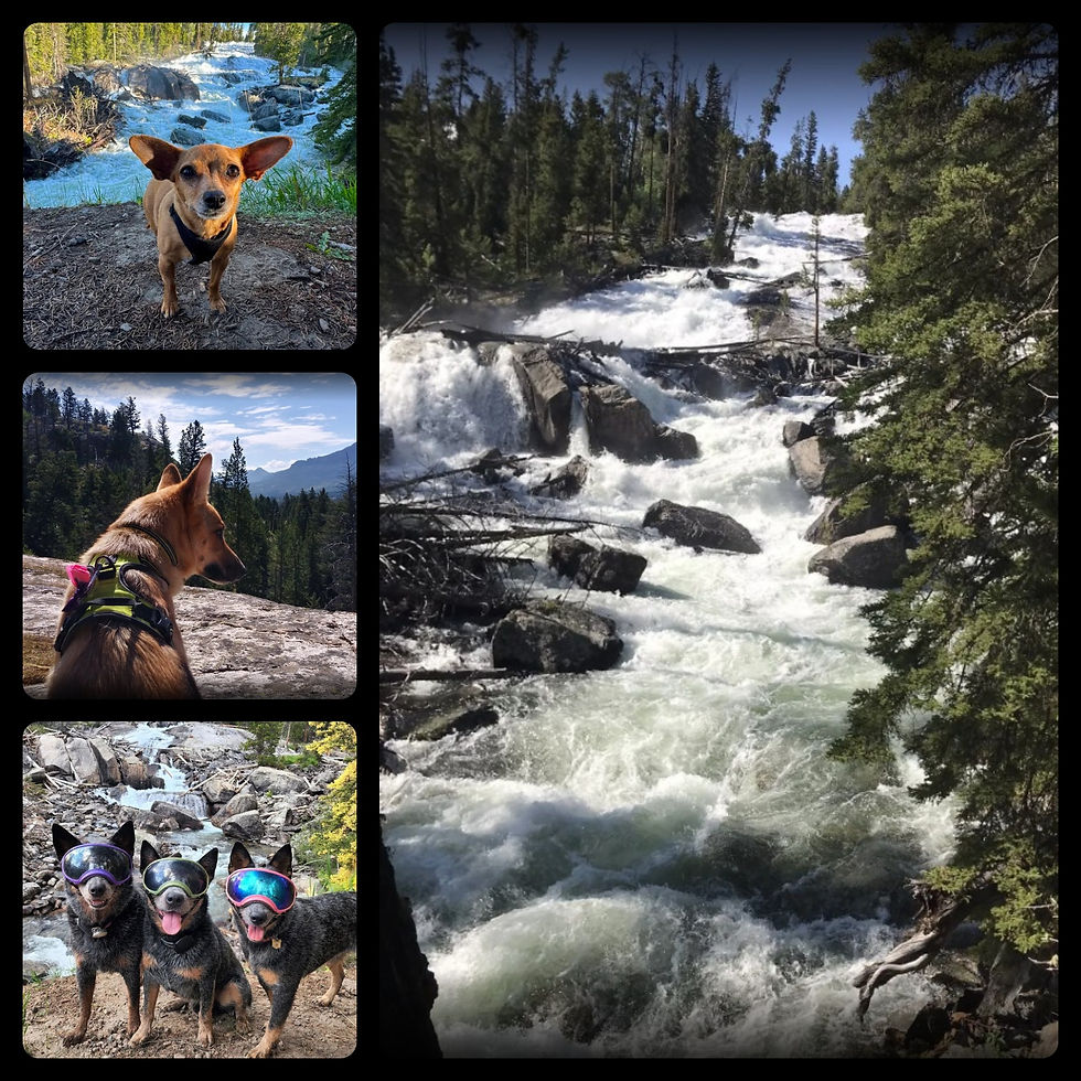 Photos by AllTrails.com and Google Reviews.com