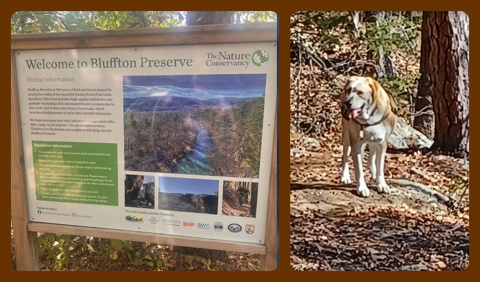 Photos Courtesy of All Trails from Morgan Stout (Oct 26, 2024) & Harold Pruitt (Dec 7, 2023)