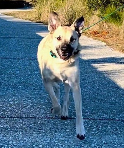 Photo courtesy of The Stickered Suitcase (February 8, 2024)