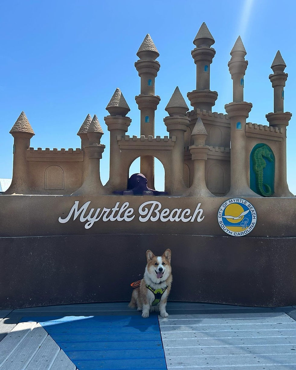 Photo courtesy of @icarusmcfritostumps, Instagram