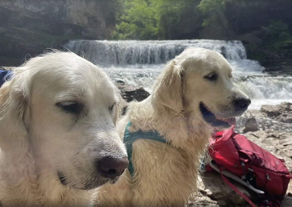 Photo courtesy of Sandy and Bart Sargent, AllTrails (June 4, 2025)