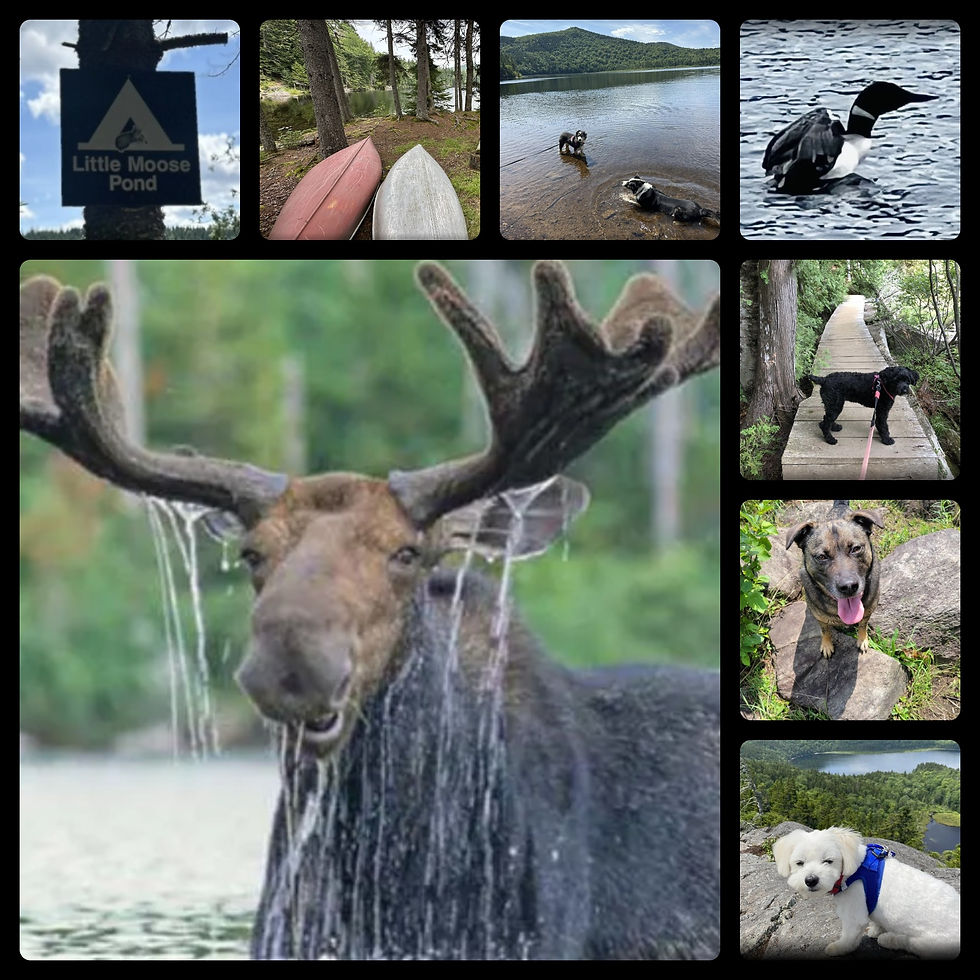 Photos by NorthernOutdoors.com