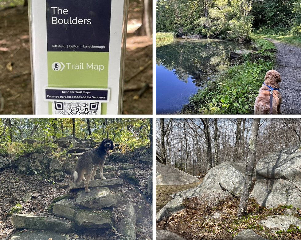 Photos Courtesy of Maya Ellison, AllTrails (Aug 13, 2021); Shimei Fan-Korb, AllTrails (Aug 24, 2024); Brenda Thomas, AllTrails (Aug 21, 2025); & Marguerite Quimette, AllTrails (May 13, 2025)