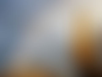 Cool Canine Adventures in Cave Creek, Arizona