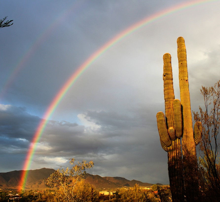 This featured image is courtesy of cavecreekaz (n.d.).