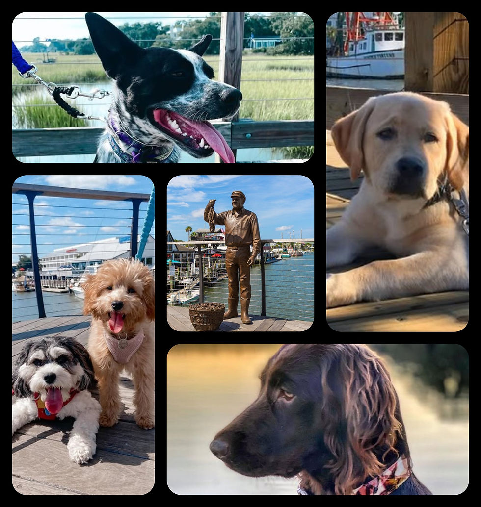 Photos by Instagram.com