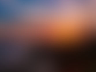 Lucky Barkers Vacation at Laguna Beach, California