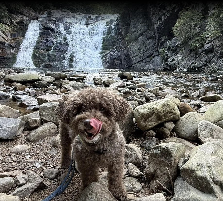 Photo Courtesy of Monica Johnson, AllTrails (July 22, 2025)