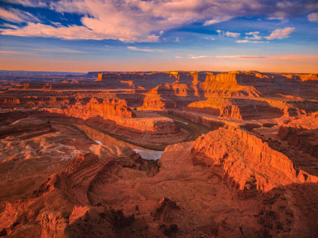 Marvelous Mutts in Moab, Utah