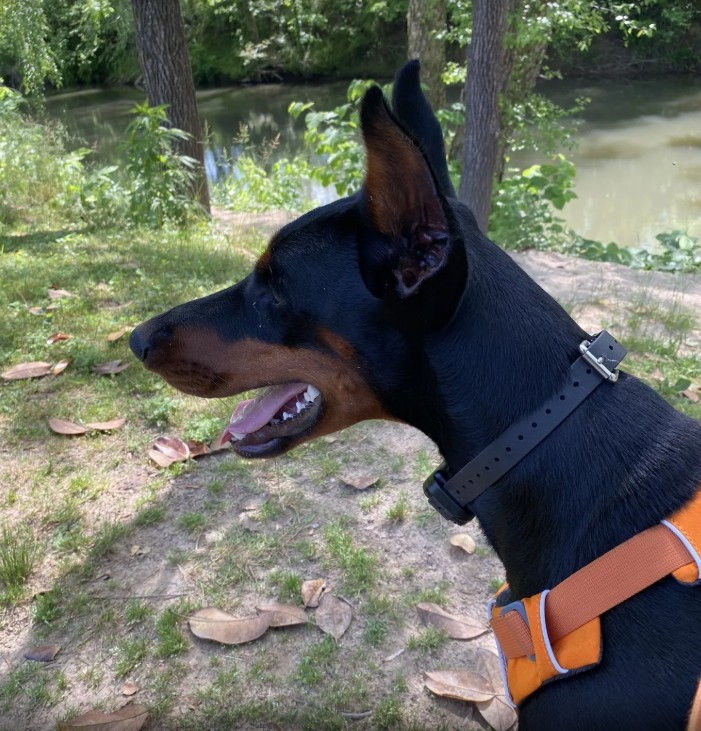 Photo Courtesy of Theresa Sinclair, AllTrails (May 5 2022)