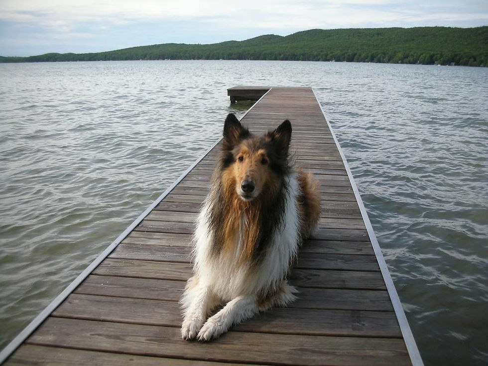 Photo Courtesy of Visit Up North Vacation Rentals, Facebook (May 11, 2023)