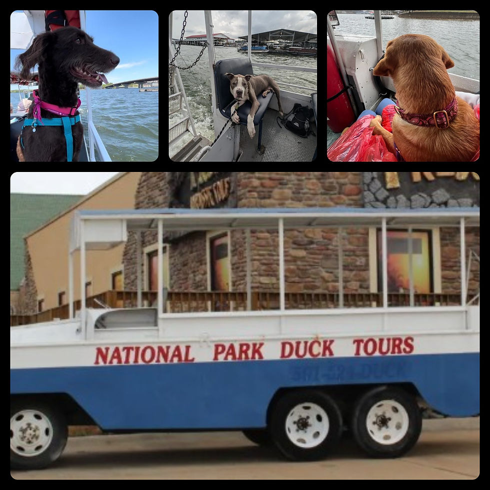 Photos by Google Reviews.com, BringFido.com and rideaduck,com