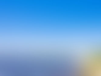 Outdoor Sniffing in Ocean Springs, Mississippi                       