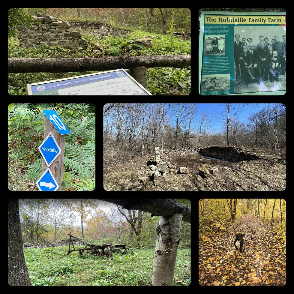 Photos by AllTrails.com