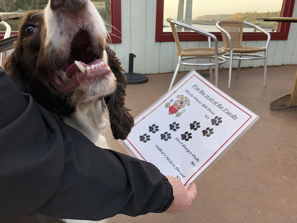 Photo courtesy of Lori, BringFido (January 3, 2020)