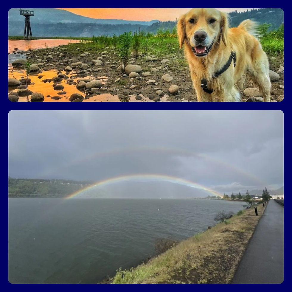 Photos by AllTrails.com and BringFido.com