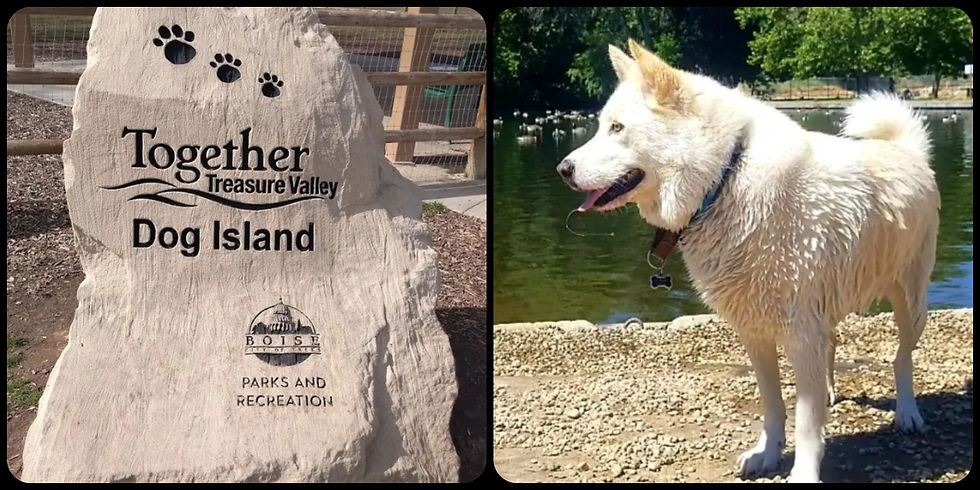 Photo Courtesy of Ingrid Vandenboorn, Google Reviews; and Valerie Scott, Google Reviews (June 2021)