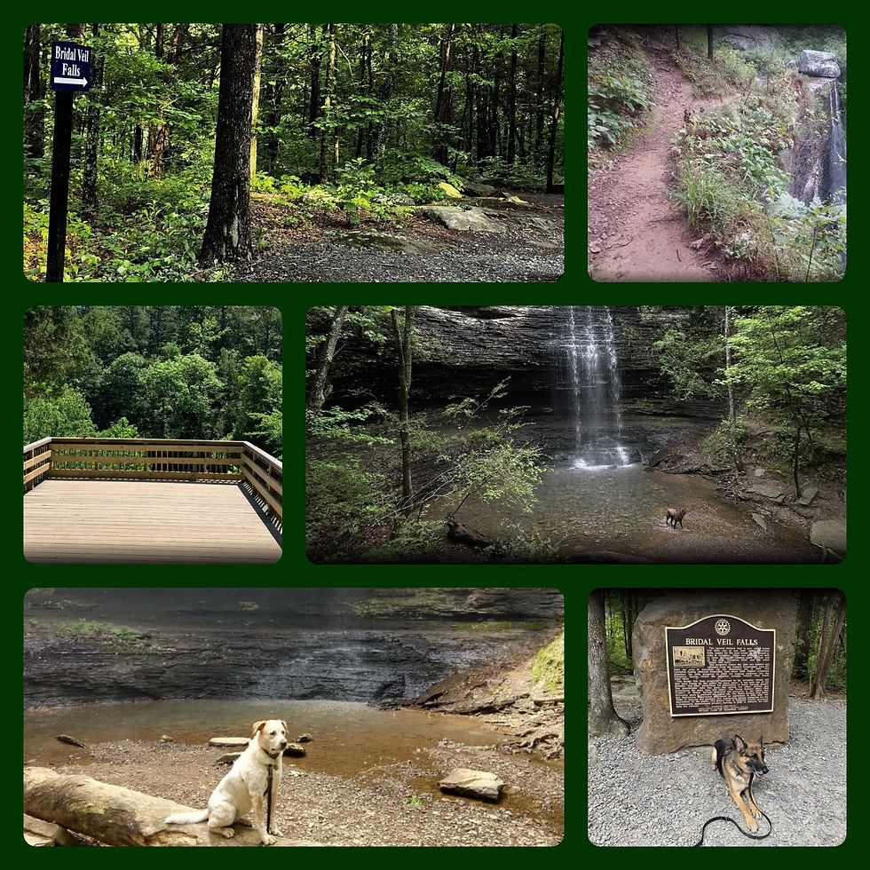 Photos Courtesy of All Trails from Deb Walters (May 4, 2024); James Baught (Aug 17, 2022); Roger (May 30, 2020); Gez Rogers (April 29, 2024; Chris A. (July 22, 2024); & James C. (May 20, 2022)