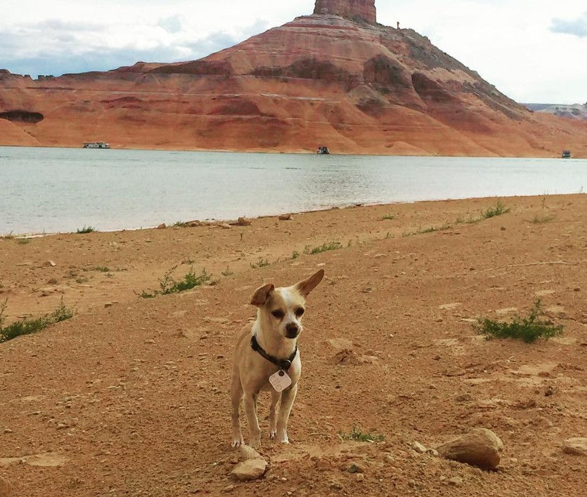 Photo courtesy of @wagabonders, Instagram (June 1, 2016)