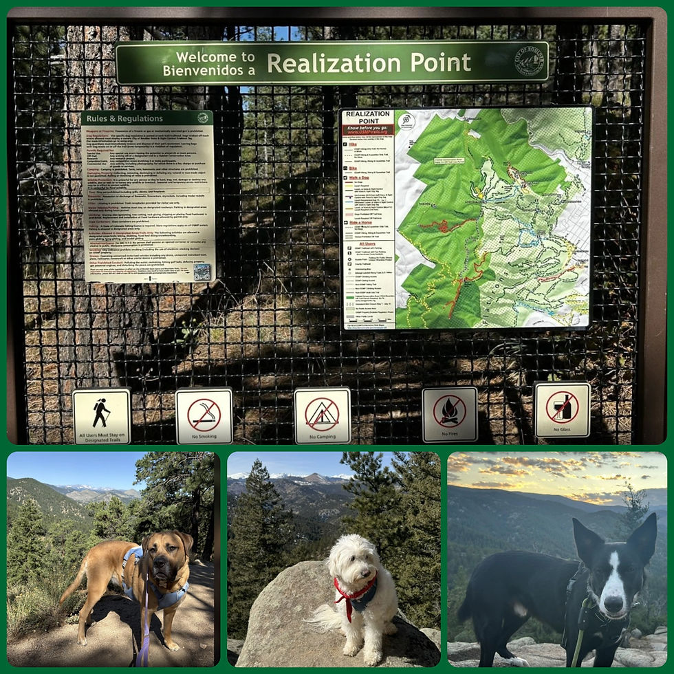 Photo courtesy of Matt Grantham (Oct 3, 2024); Sierra Bach (Aug 15, 2025), Megan Glancey (Feb 24, 2024), & Spencer Pier (Sep 26, 2024) AllTrails