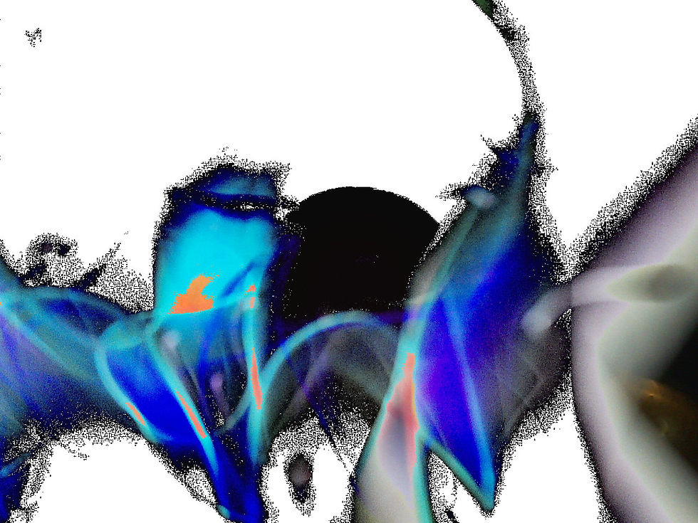 SG1.01.jpg