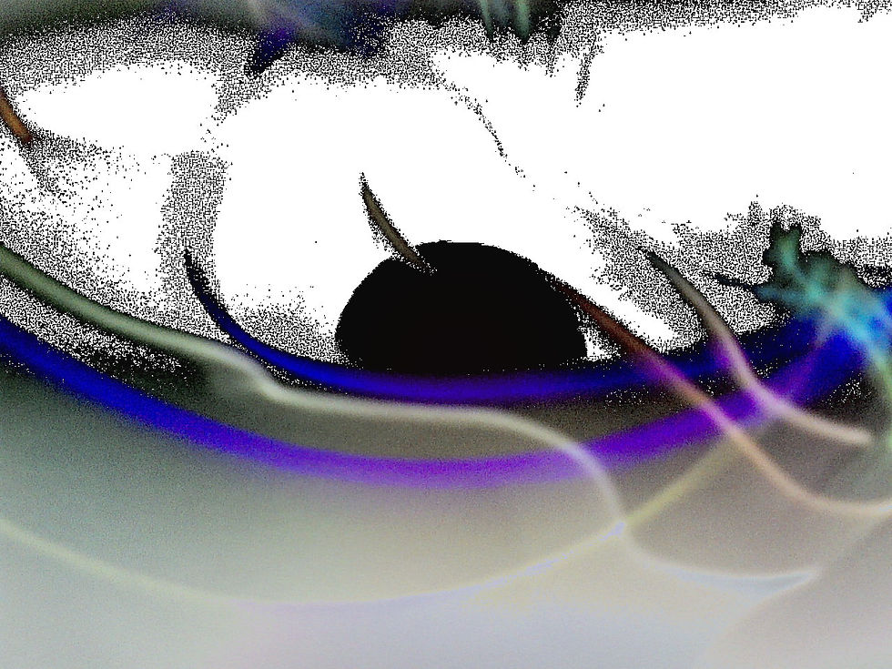 SG6.31.jpg