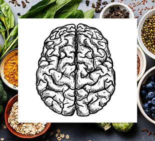 Outline of brain superimposed on picture of whole foods (apple, blueberries, spices)
