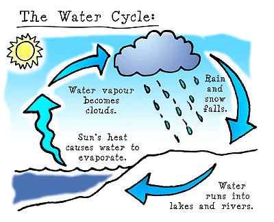 descriptive water cycle.gif