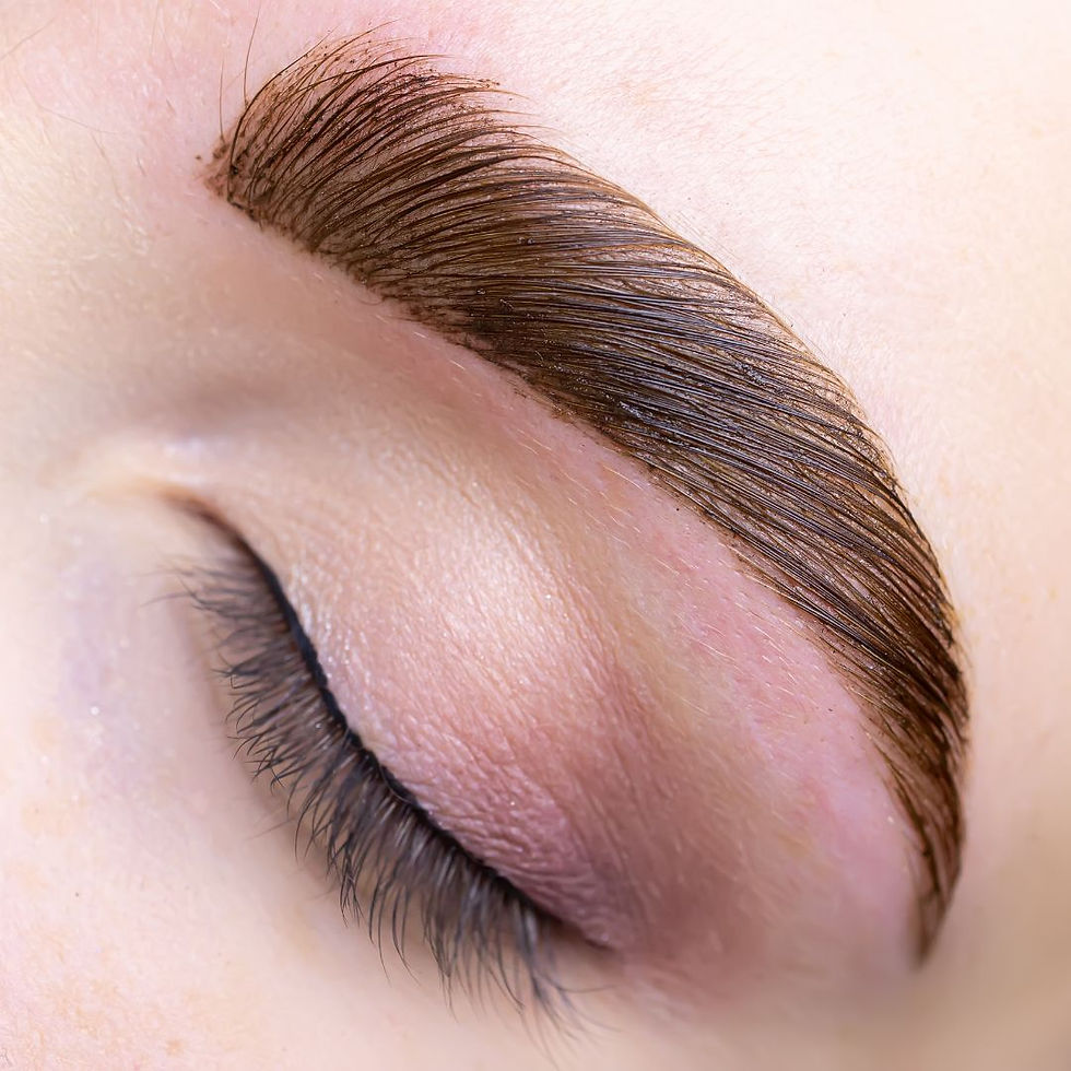 Gestylte Augenbraue nach Brow Lifting mit sichtbar definierten Härchen in Nahaufnahme